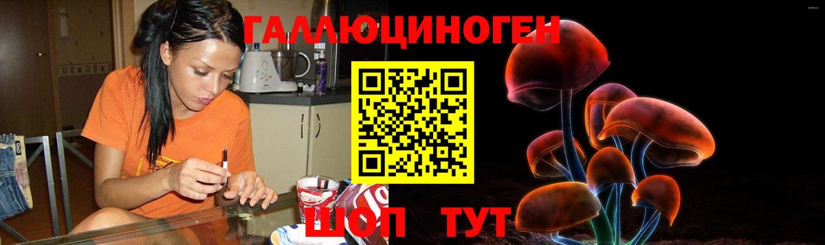 цена наркотик  Вход с VPN  Галлюциногенные грибы GOLDEN TEACHER  Кстово  Псилоцибиновые грибы MAGIC MUSHROOMS 